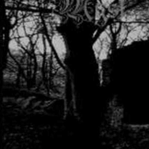 Black Fucking Demo
