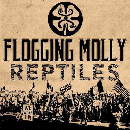 flogging molly discography wiki flogging molly discography wiki