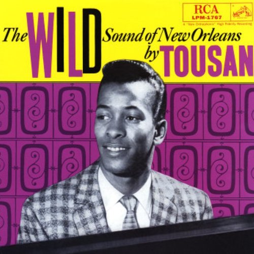 The Wild Sound Of New Orleans By Tousan