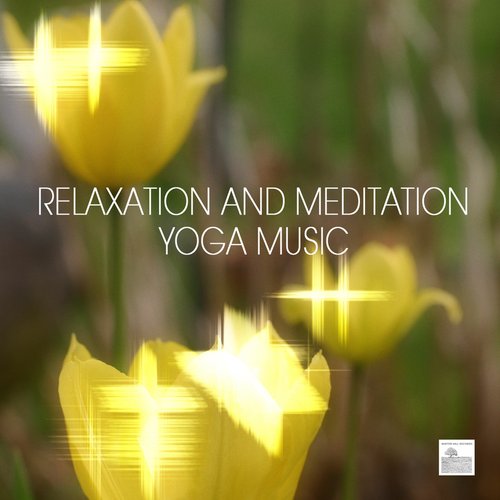 Relaxation Meditation Yoga Music - Music for Yoga, Relaxation Meditation, Massage, Sound Therapy, Restful Sleep and Spa Relaxation