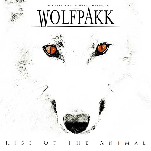 Rise Of The Animal