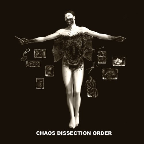 Chaos Dissection Order [Explicit]
