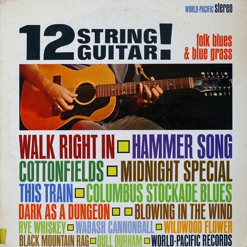12 String Guitar!