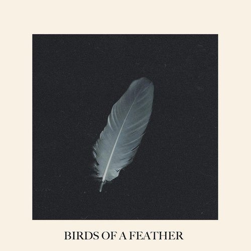Birds of a Feather