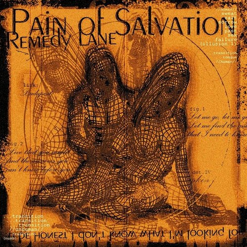Discovering Pain of Salvation
