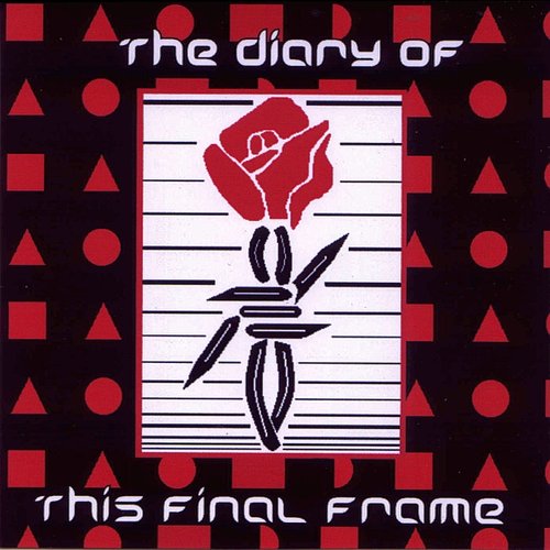 The Diary of This Final Frame