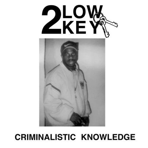 Criminalistic Knowledge