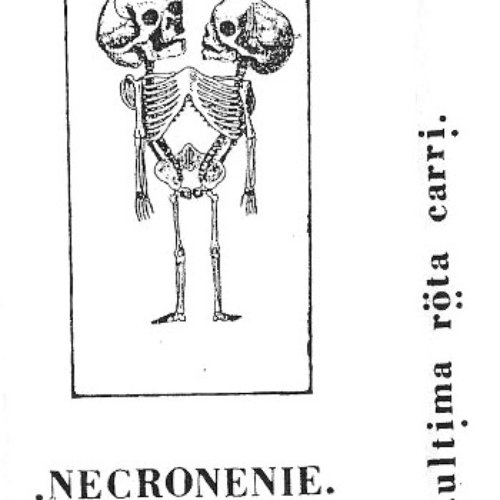 Necronenie