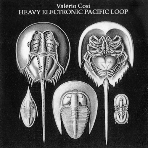 Heavy Electronic Pacific Loop