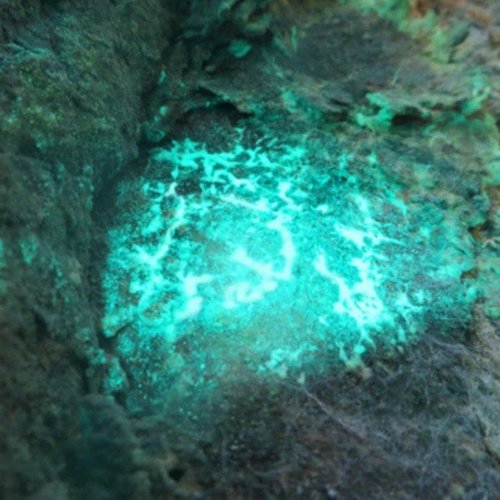 Uranus