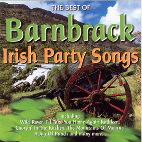 The Best Of Irish Party Songs