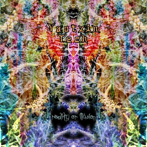 Reality Or Illusion