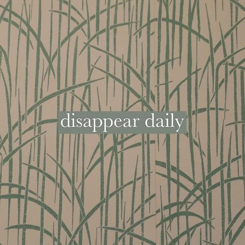 Disappear Daily - Single