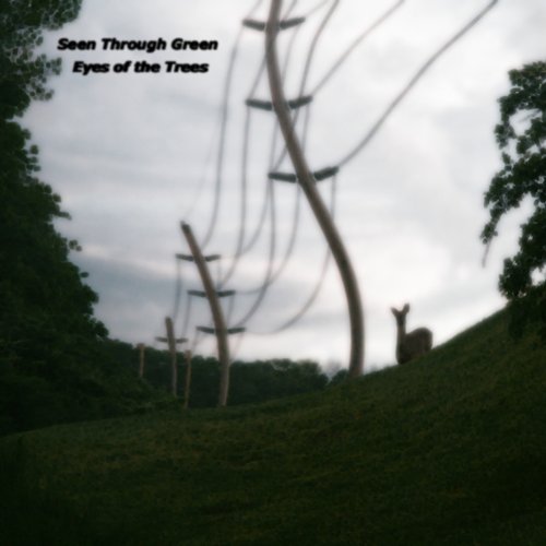 Eyes of the Trees