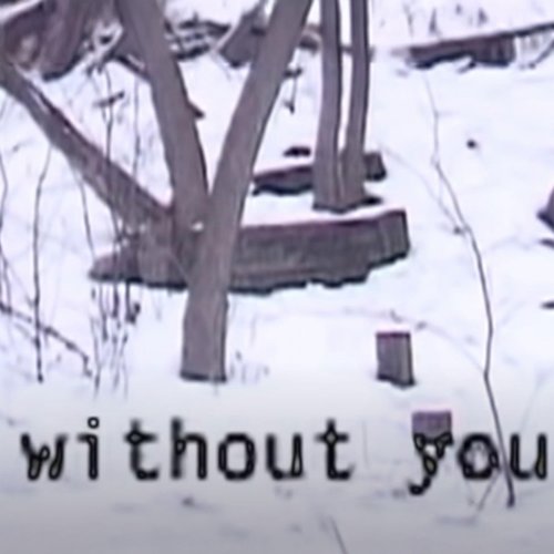 Without You