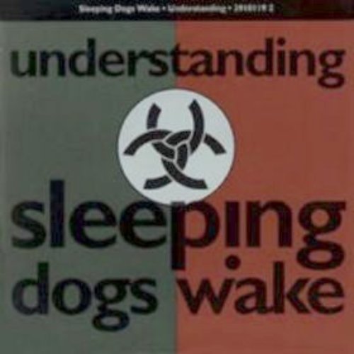 Understanding