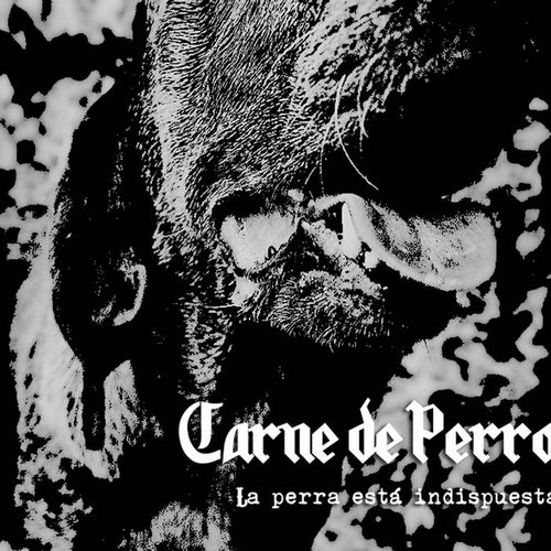 La perra está indispuesta