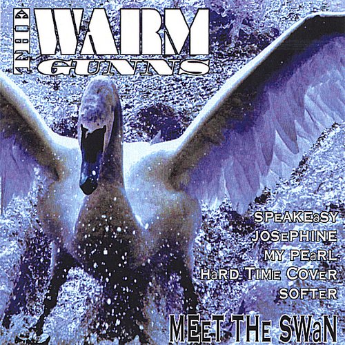Meet the Swan