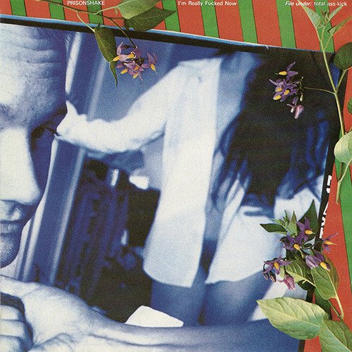 I'm Realy Fucked Now Vinyl LP