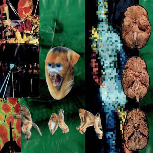 BRAIN BOG // LITTLE HOG