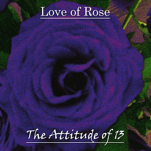 The Attitude of 13