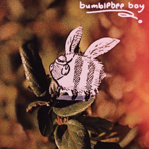 bumblebee boy