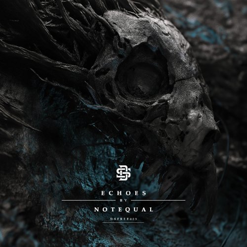 Echoes