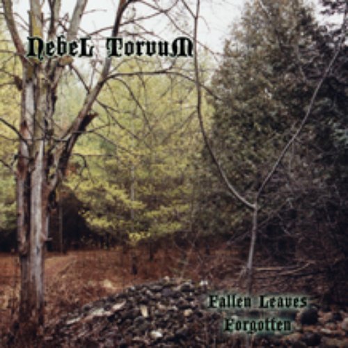 Fallen Leaves Forgotten