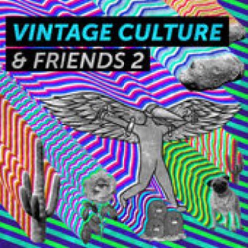 Vintage Culture & Friends 2