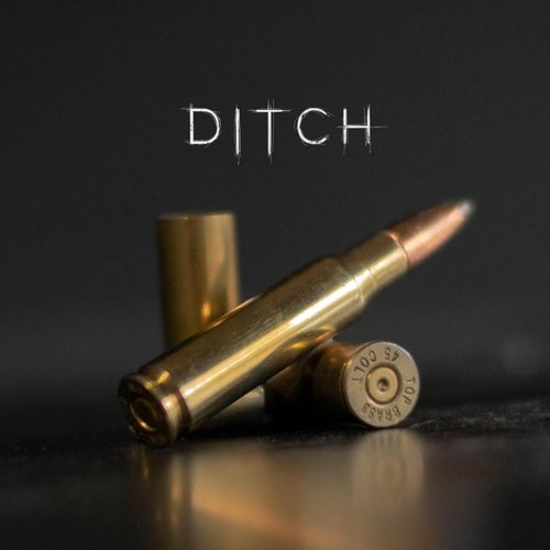 Ditch