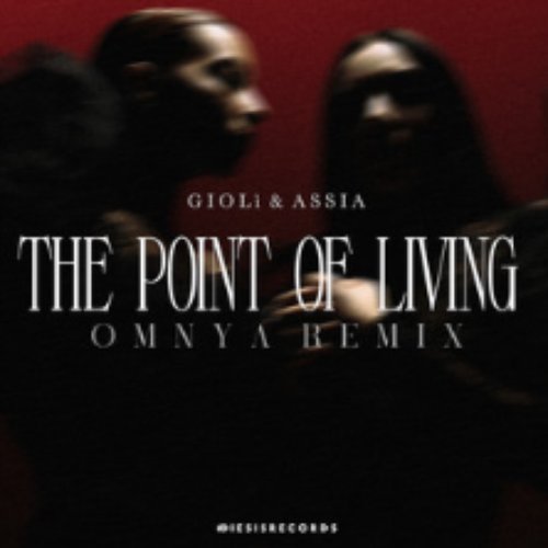 The Point Of Living (Omnya Remix)