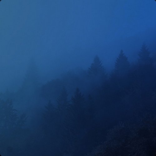 elsewhere