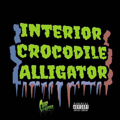 Interior Crocodile Alligator - Single