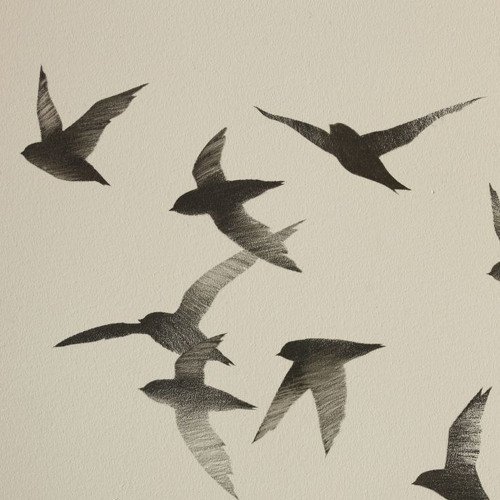 unbalanced thoughts