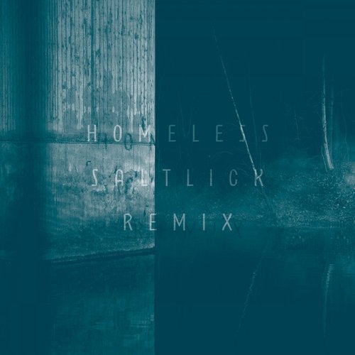 Saltlick (Homeless Remix)