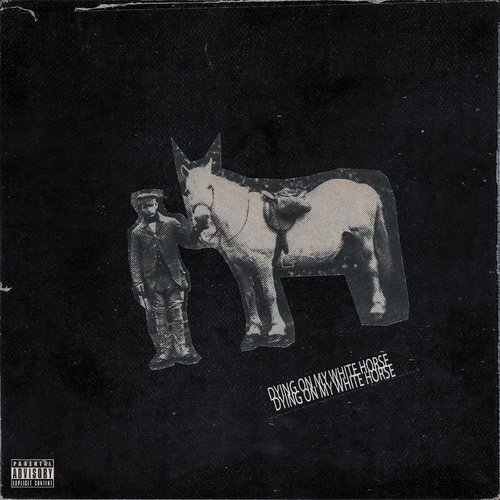 Dyingonmywhitehorse
