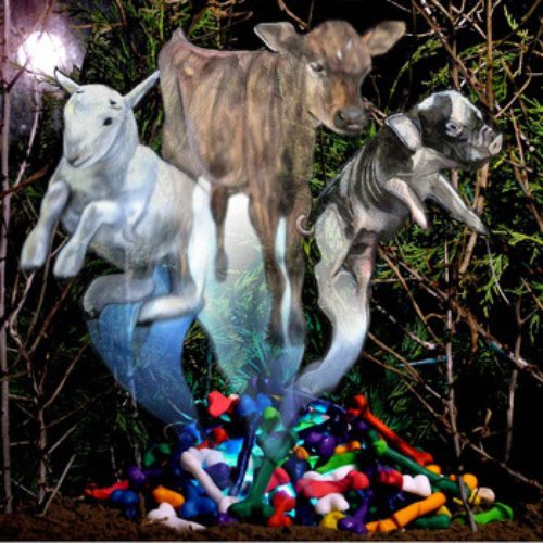 Bones, Hooves & Horns