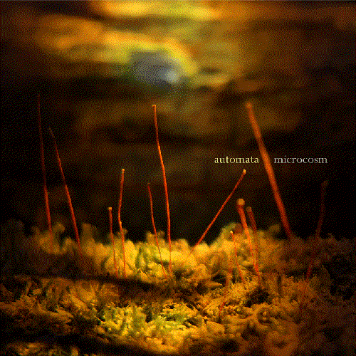 Microcosm