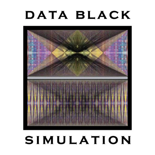 Simulation