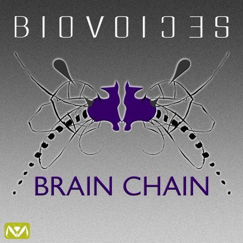 Brain Chain
