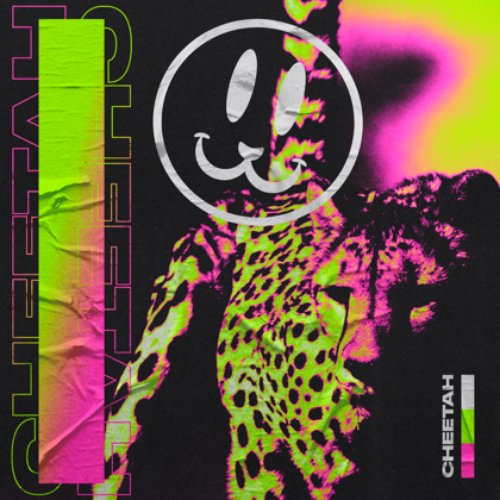 Cheetah - Single
