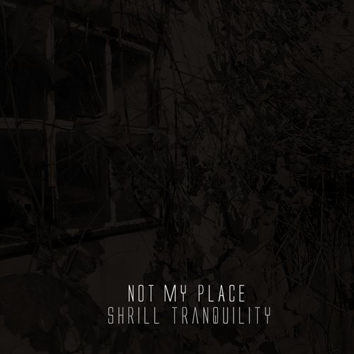 Not My Place