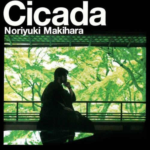 Cicada