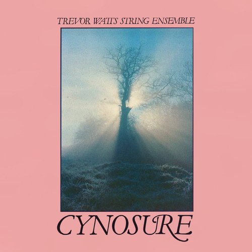 Cynosure
