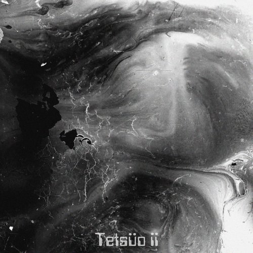 Tetsüo ii