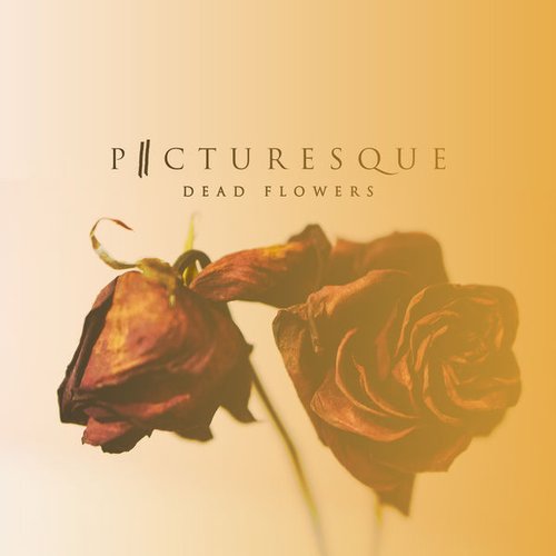 Dead Flowers - Single