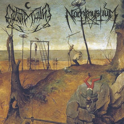 In the Valley of Death, Where Black Metal Is King