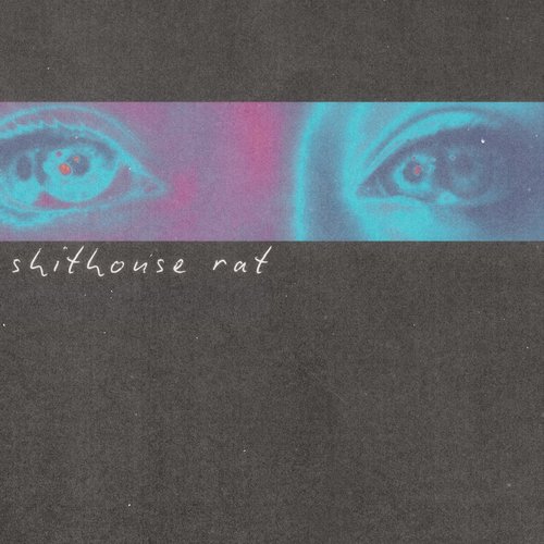 Shithouse Rat