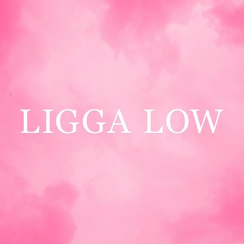 LIGGA LOW