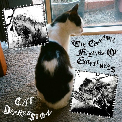 Cat Depression